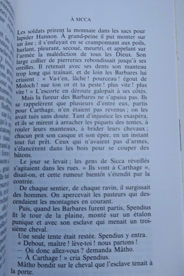 Flaubert Madame Bovary + Salammbô (non coupés) – Image 7