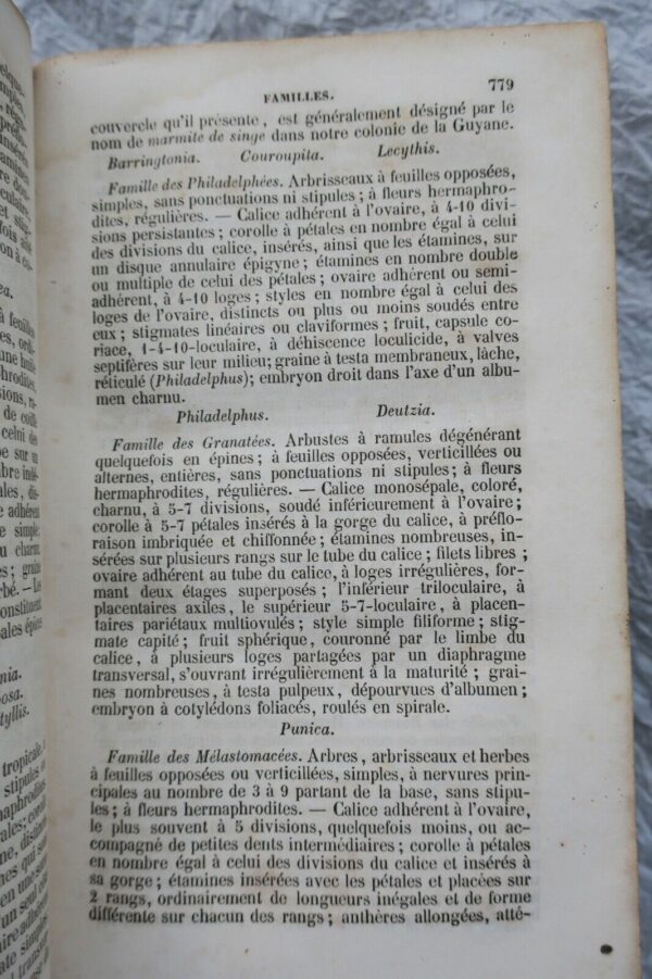JARDIN bon jardinier. Almanach agricole pour l'année 1860 – Image 13