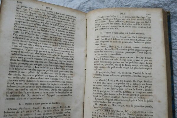 JARDIN bon jardinier. Almanach agricole pour l'année 1860 – Image 16