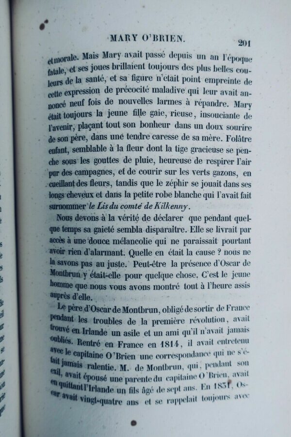 Les bluets livre de beauté 1839 maroquin – Image 9