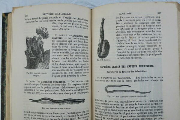 MANUEL D'HISTOIRE NATURELLE – Image 7