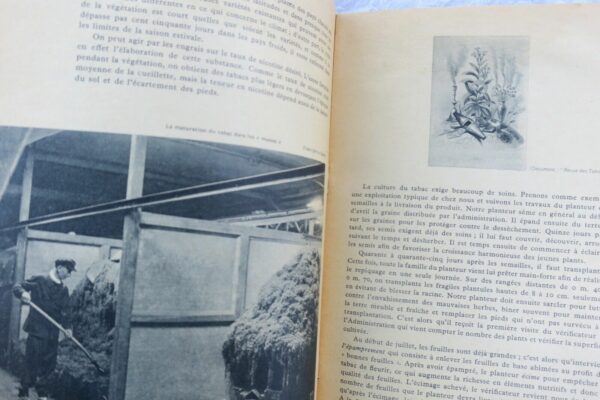 TABAC 1952 documentation française – Image 6