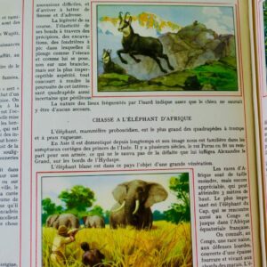 chasse a travers le monde