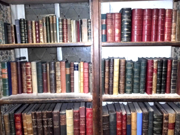reliures livres anciens bibliothèque décoration intérieur/vitrine/cinema – Image 5