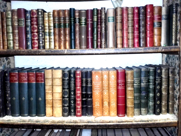 reliures livres anciens bibliothèque décoration intérieur/vitrine/cinema – Image 7