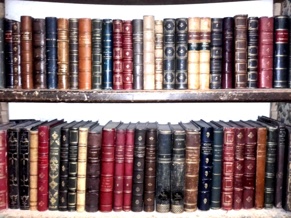 reliures livres anciens bibliothèque décoration intérieur/vitrine/cinema